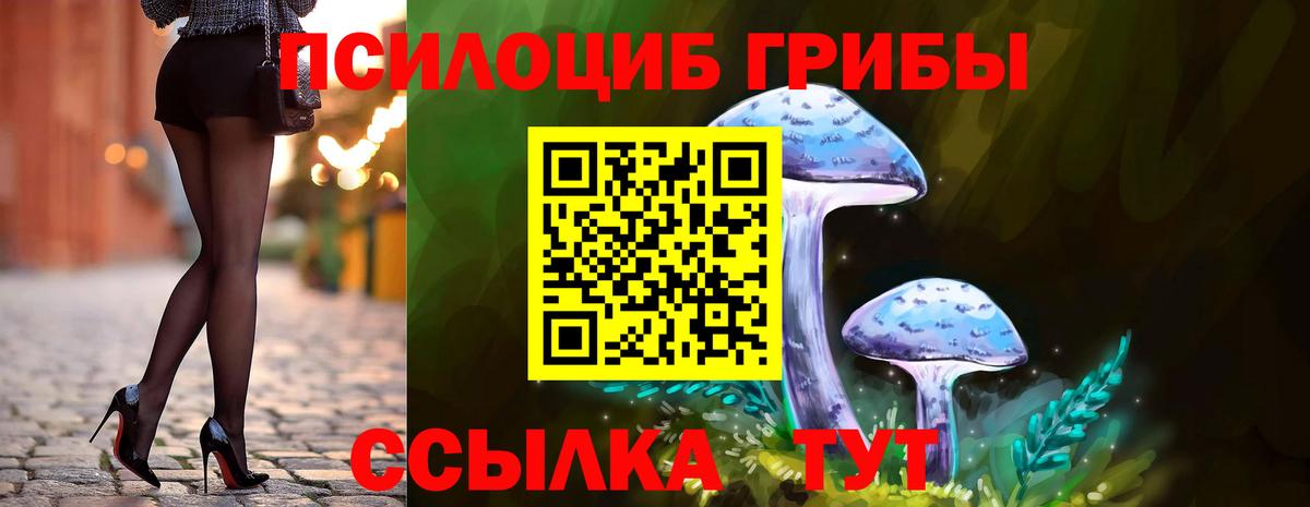 Галлюциногенные грибы Psilocybine cubensis  Вход с VPN  Ростов-на-Дону  цены   Псилоцибиновые грибы GOLDEN TEACHER 