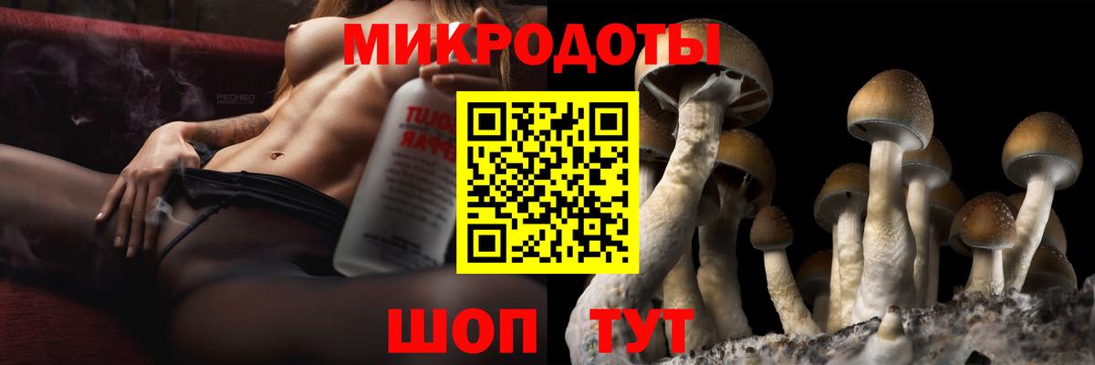 Псилоцибиновые грибы Magic Shrooms Ростов-на-Дону